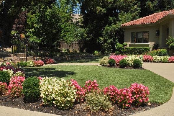 Artificial Turf Lansdscaping