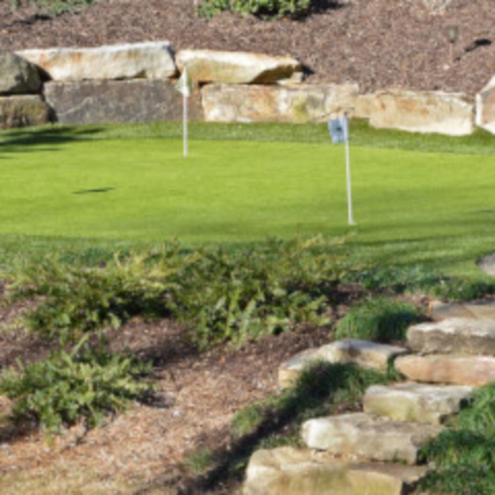 Top Trends For Backyard Golf Putting Greens